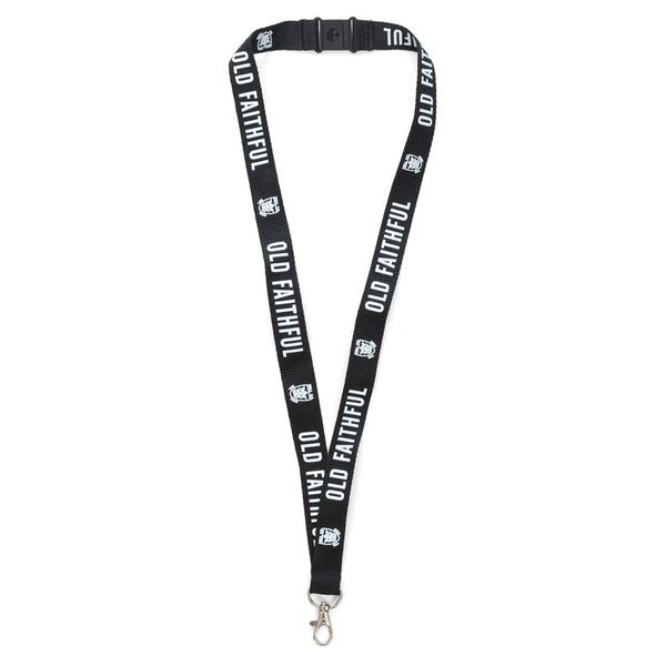 Lanyard