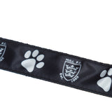 Dog Lead & Collar 25